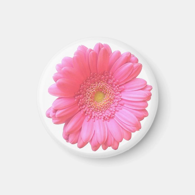 Pink gerbera daisy magnet (Front)
