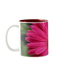Pink Gerbera Daisy Mug
