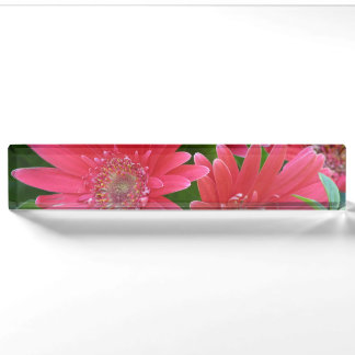 Pink Gerbera Daisy Nameplate