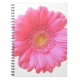 Pink gerbera daisy notebook