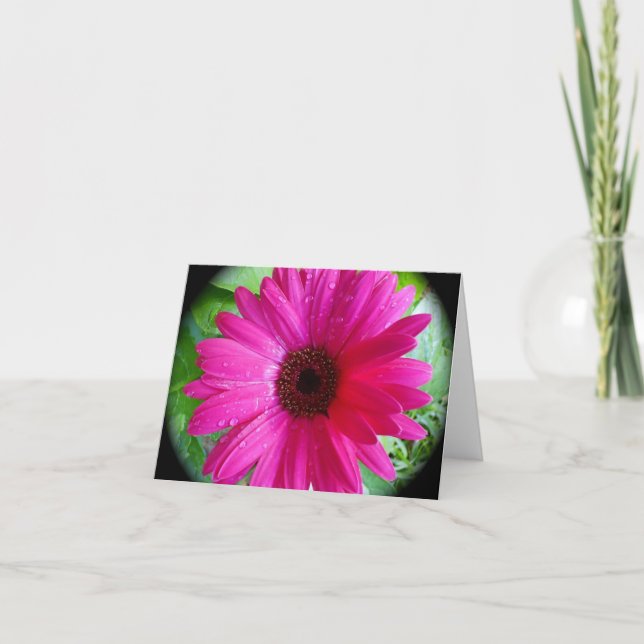 Pink Gerbera Daisy notecard (Front)