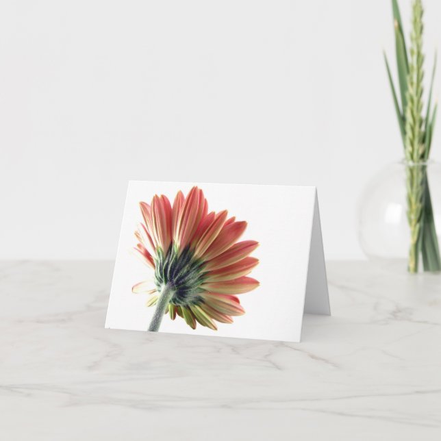 Pink Gerbera Daisy Notecard (Front)