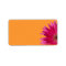 Pink Gerbera Daisy Orange Wedding Blank Address