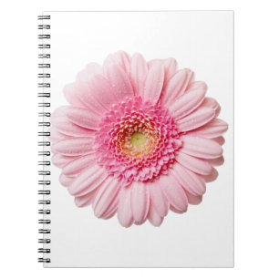 Pink Gerbera Daisy Spiral Notebook