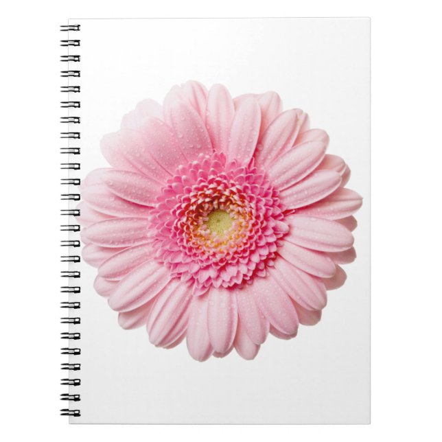 Pink Gerbera Daisy Spiral Notebook (Front)