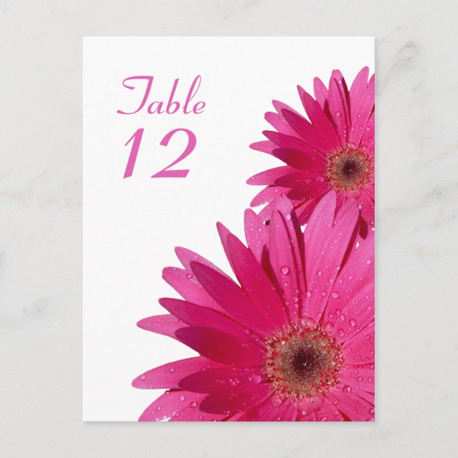 Pink Gerbera Daisy Table Number Card (Front)