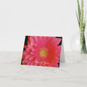 Pink Gerbera Daisy Thank You  Card