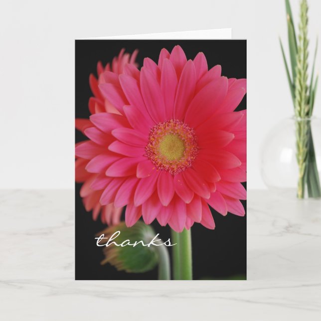 Pink Gerbera Daisy Thank You Card (Front)