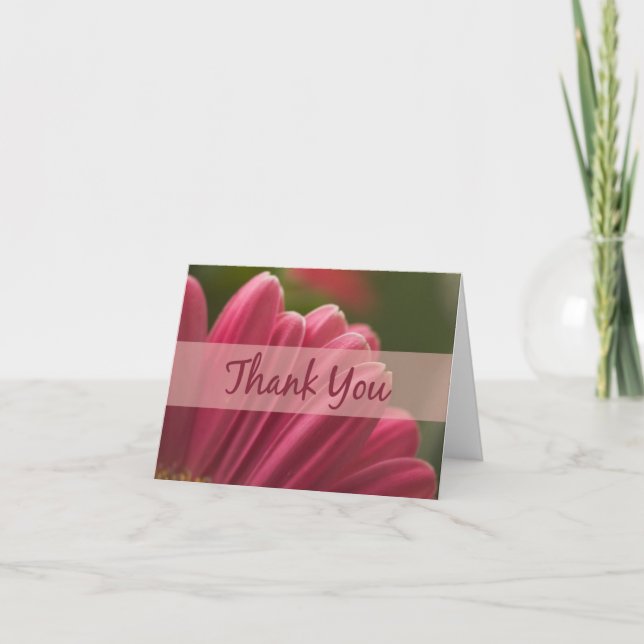 Pink Gerbera Daisy Thank You Cards (Front)