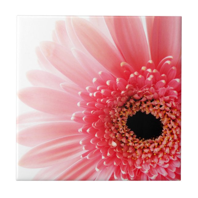 Pink Gerbera Daisy  Tile (Front)