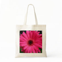Pink Gerbera Daisy