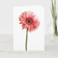 Pink Gerbera Daisy Watercolor Garden Nature Lover
