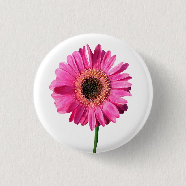 Pink Gerbera Flower Button / Badge (Front)