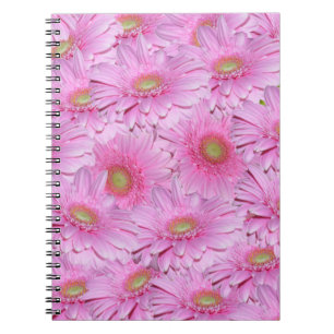 Pink Gerbera Flower Clusters, Notebook