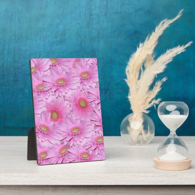 Pink Gerbera Flower Clusters,  Plaque (Side)