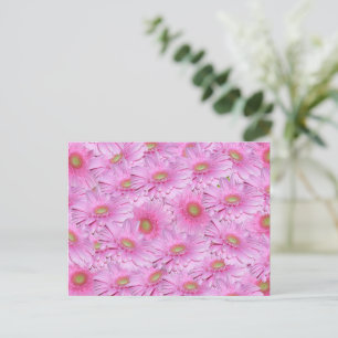 Pink Gerbera Flower Clusters, Postcard