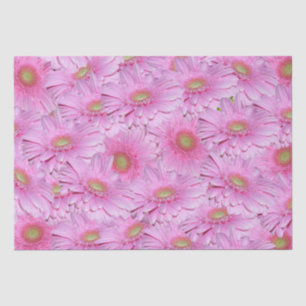 Pink Gerbera Flower Clusters,  Tissue Paper