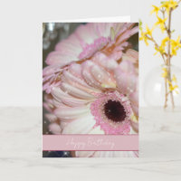 Pink Gerbera Flowers Sparkle Birthday