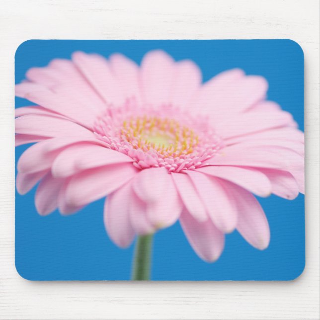 Pink Gerbera Mousepad (Front)