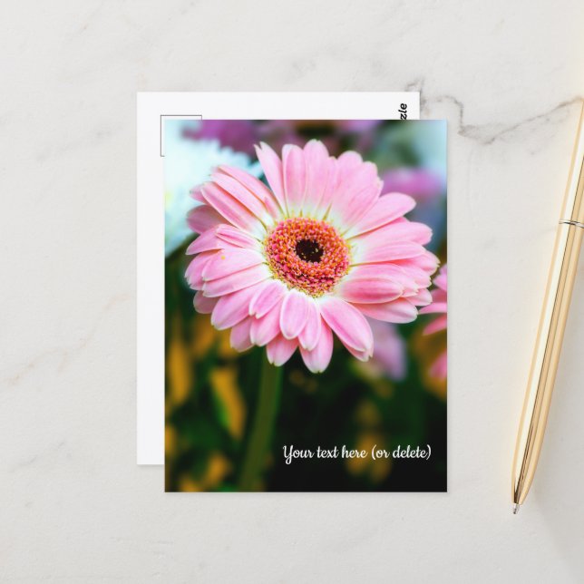 Pink Gerbera Postcard (Front/Back In Situ)