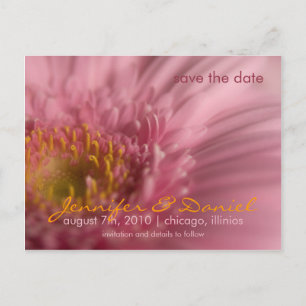 Pink Gerbera • Save the Date Postcard