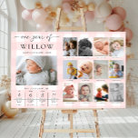 Pink Gingham First Birthday Photo Milestone Poster<br><div class="desc">Celebrate the first 12 months of your little one with this first birthday one year of milestone photos sign. Customise the sign with your monthly milestone images and baby's fun facts. To add text to the design simply select the "Customise It" button above for more advanced customisation features.</div>