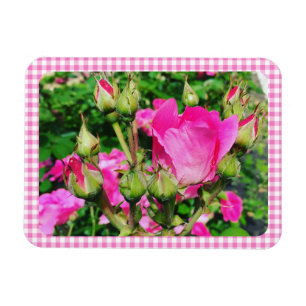 Pink Gingham Plaid Rose Garden Photo Magnet