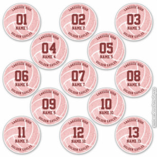 pink girly set of 13 volleyball party