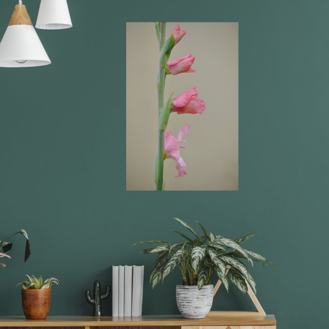 Pink Gladiolus Glad Flower Profile Art  Poster (Living Room 1)