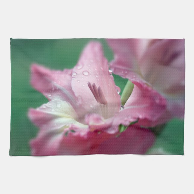 Pink Gladiolus Kitchen Towels (Horizontal)