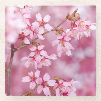 Pink Glass Coster Glass Coaster