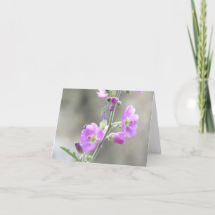 Pink Globe Mallow Wildflowers Card