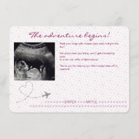 Pink Globe Passport Travel Diaper Raffle