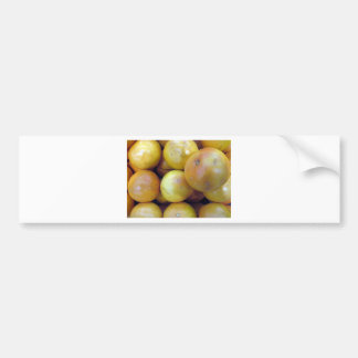 Pink Grapefruit Bumper Sticker