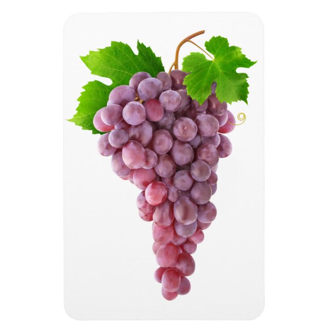 Pink grapes magnet (Vertical)