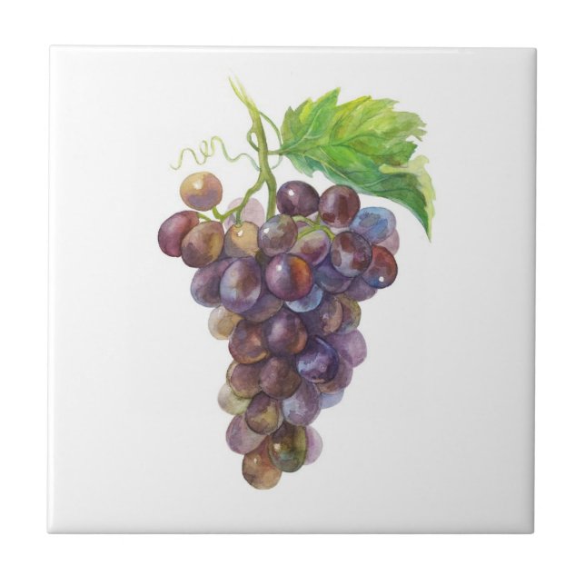 Pink Grapes. Watercolor art  Tile (Front)