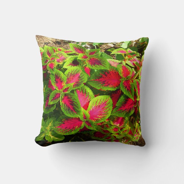Pink green coleus tropical pillow (Front)