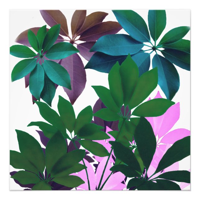 Pink & Green Leaf Art Professional Photo Paper (Front)