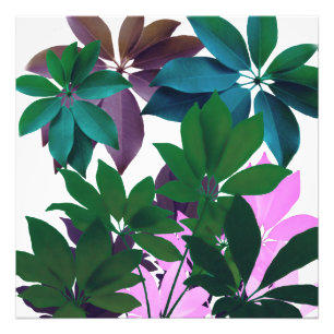 Pink & Green Leaf Art Professional Photo Paper Print
