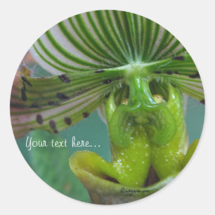 Pink Green Slipper Orchid Wedding Invitation Seals