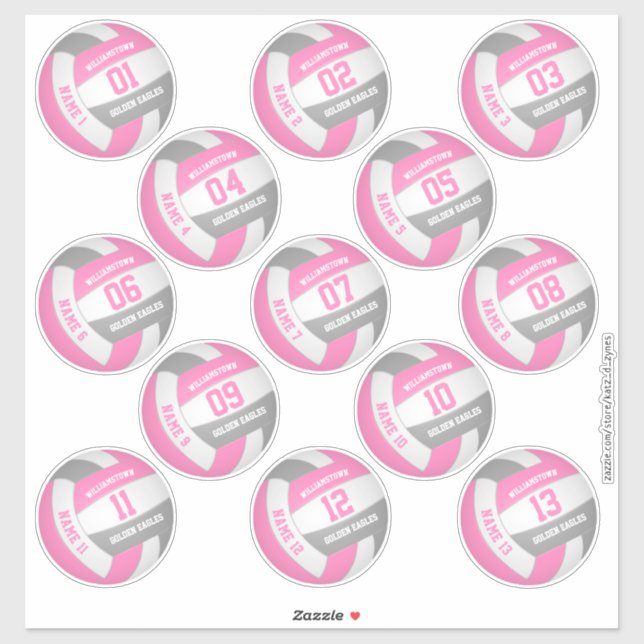 pink grey 13 custom players names volleyball (Sheet)