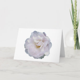 Pink grey rose card