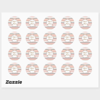 Pink Grey Stripes Baby in Bloom Classic Round Sticker