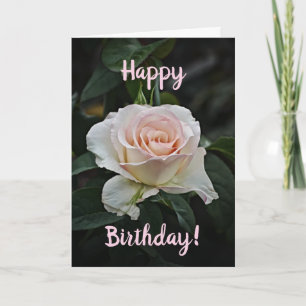 Pink Happy Birthday Rose Birthday Card