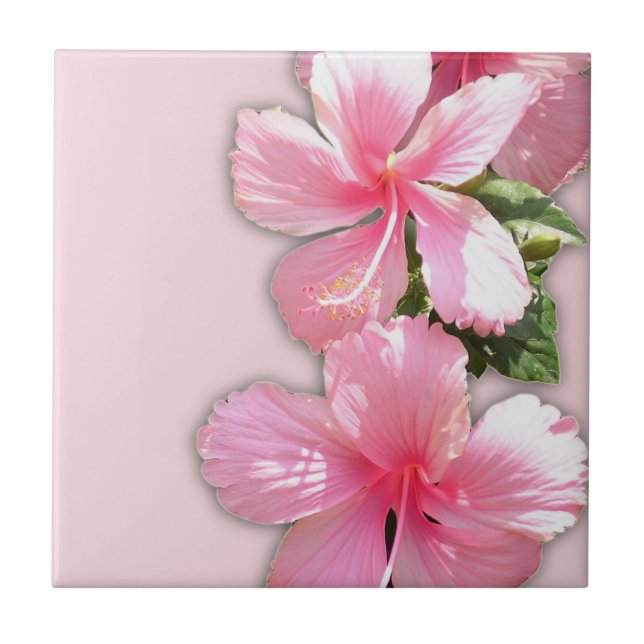 Pink Hawaiian Hibiscus Flowers Tile (Front)