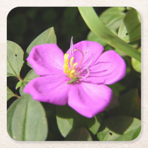 Pink Hawaiian Plumeria Poster Faux Canvas Print A Square Paper Coaster