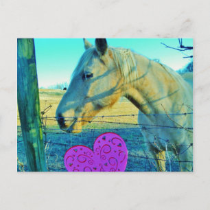 Pink Heart and Yellow Horse Postcard