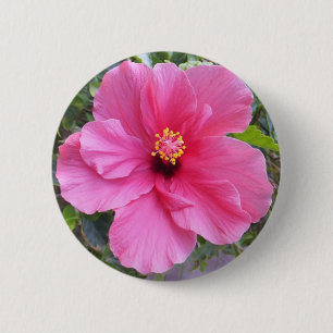 Pink Hibiscus button