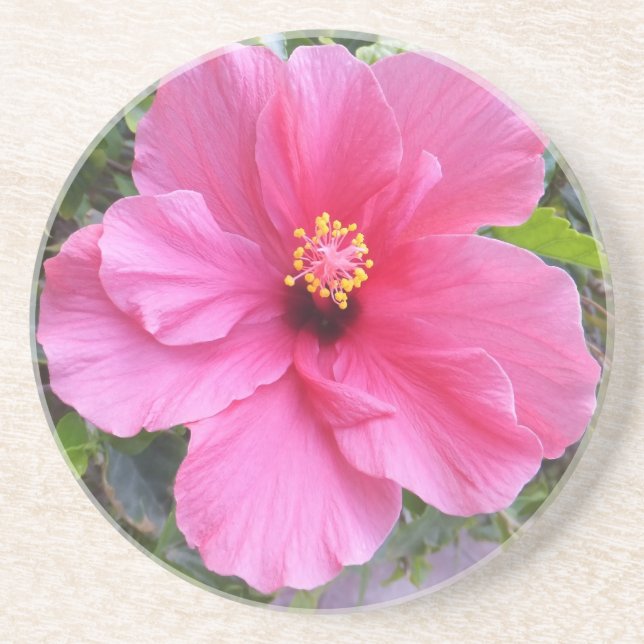 Pink Hibiscus coaster (Front)