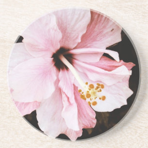 Pink Hibiscus Coaster